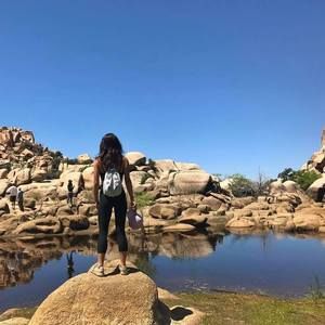 Meet your Posher, Priscilla